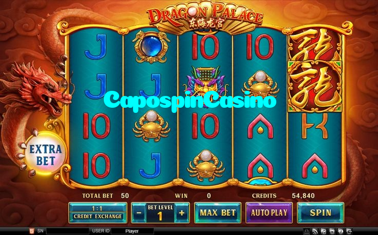 available types of CapospinCasino bet including pre-match live express and system bets